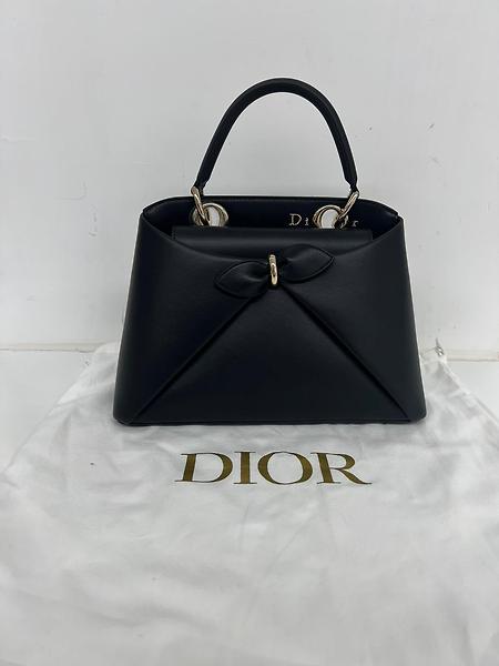 Dior Cicada Bag